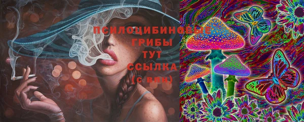 apvp Аркадак