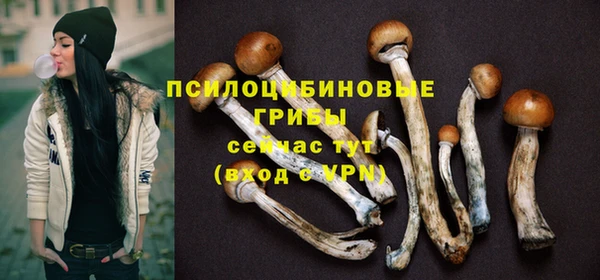 крисы Армянск