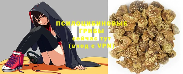 apvp Аркадак