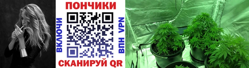 Конопля AK-47 кракен вход Починок